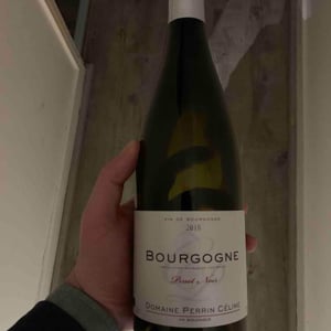 Bourgogne Pinot Noir 2018 - Domain Perrin Céline - celine-perrin