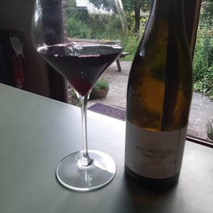 L'origine - Domaine du Clair Obscur - jennifer-et-pierre-clair