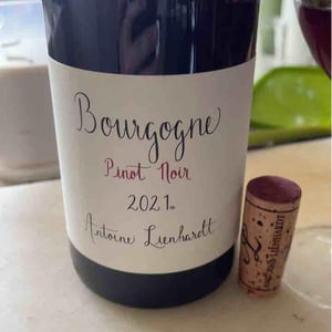 Bourgogne Pinot Noir - Antoine Lienhardt - Antoine Lienhardt 