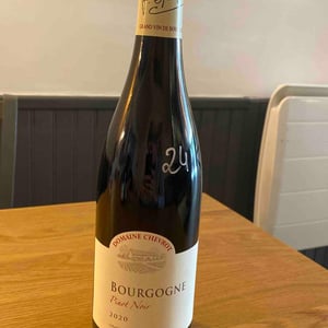 Bourgogne - Domaine Chevrot - Vincent & Pablo Chevrot 