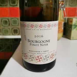 Bourgogne Pinot Noir - Marchand Tawse - pascal-marchand