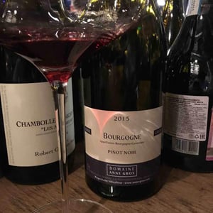 Bourgogne Pinot Noir - Tollot - Anne Gros & Jean-Paul Tollot 