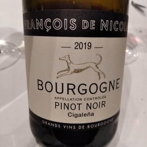 Bourgogne - Pinot Noir - Cigaleña - Maison François de Nicolay - François de Nicolay 
