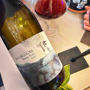 Bourgogne Pinot Noir - Domaine Didon - Naima & David Didon 