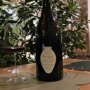 Bourgogne Pinot Noir "En Carran" - Domaine de Chassorney - Frédéric Cossard