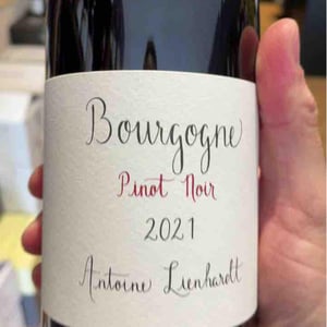 Bourgogne Pinot Noir (Label from 2020) - Antoine Lienhardt - Antoine Lienhardt 