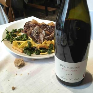 Bourgogne Pinot Noir - Antoine Lienhardt - Antoine Lienhardt 