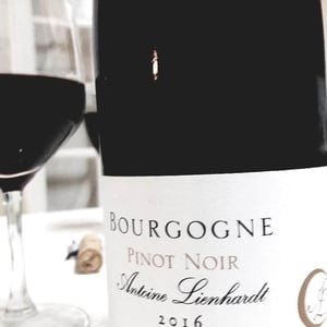 Bourgogne Pinot Noir - Antoine Lienhardt - Antoine Lienhardt 