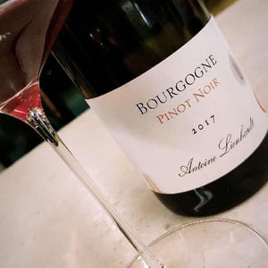 Bourgogne Pinot Noir - Antoine Lienhardt - Antoine Lienhardt 