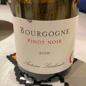 Antoine Lienhardt - Antoine Lienhardt - Bourgogne Pinot Noir