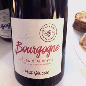Bourgogne Pinot Noir - Domaine d'Edouard - edouard-lepesme
