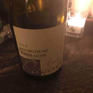 Bourgogne Pinot Noir - Agnès PAQUET - agnes-paquet