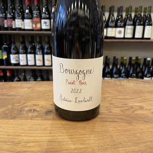 Bourgogne Pinot Noir - Antoine Lienhardt - antoine-lienhardt