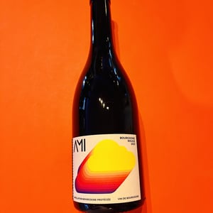 Bourgogne Rouge - Domaine Ami - paul-marchand-perarnau-willy-roulendes