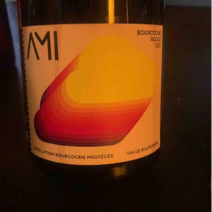 Bourgogne Rouge - Domaine Ami - Paul Marchand-Perarnau & Willy Roulendes 