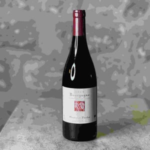 Bourgogne Rouge - Domaine Montanet-Thoden - valentin-montanet-tom-thoden