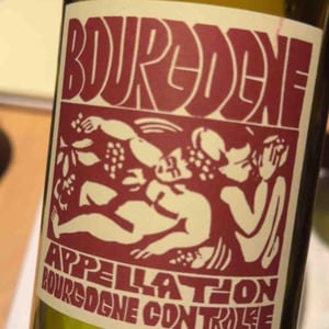 Bourgogne Rouge - Domaine de La Soeur Cadette - Jean & Valentin Montanet 
