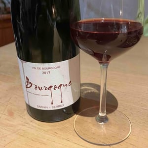 Bourgogne (rouge) - Sarnin-Berrux - Jean-Pascal Sarnin & Jean-Marie Berrux 