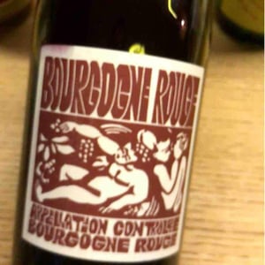 Domaine de La Soeur Cadette - Jean & Valentin Montanet - Bourgogne Rouge