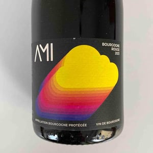 Bourgogne Rouge / Neige de printemps - Domaine Ami - Paul Marchand-Perarnau & Willy Roulendes -2021