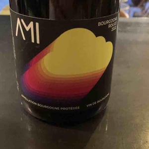 Bourgogne Rouge / Neige de printemps - Domaine Ami - paul-marchand-perarnau-willy-roulendes -2021