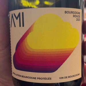 La Tête dans les Nuages Bourgogne Rouge - Domaine Ami - Paul Marchand-Perarnau & Willy Roulendes -2019