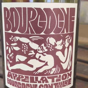 Bourgogne Rouge - Domaine de La Soeur Cadette - Jean & Valentin Montanet 