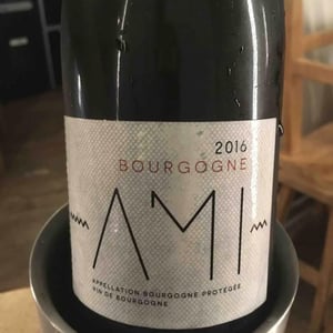 Bourgogne Rouge - Domaine Ami - paul-marchand-perarnau-willy-roulendes