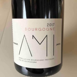 Bourgogne Rouge - Domaine Ami - paul-marchand-perarnau-willy-roulendes