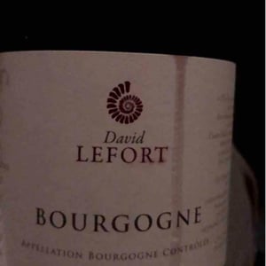 Bourgogne - David Lefort - David Lefort 