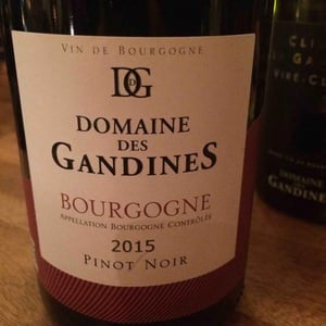 Bourgogne - Domaine des Gandines - benjamin-et-florent-dananchet