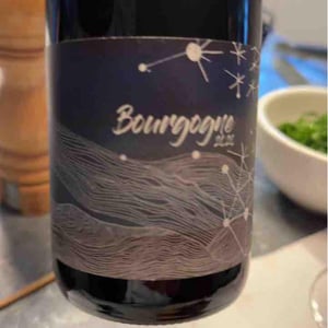 Bourgogne Pinot Noir - Domaine Didon - Naima & David Didon 