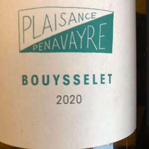 Bouysselet - Domaine Plaisance - Penavayre - louis-marc-et-thibaut-penavayre -2020