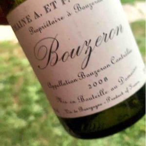 Bouzeron 2008
