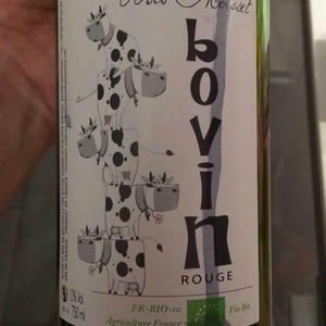 Bovin - Domaine Ferme Bois Moisset - Sylvie & Philippe Maffre -2019