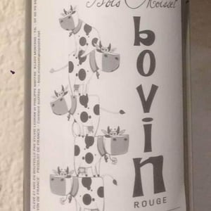 Bovin - Domaine Ferme Bois Moisset - sylvie-philippe-maffre -2019