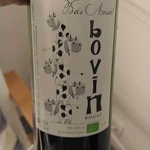 Bovin - Domaine Ferme Bois Moisset - sylvie-philippe-maffre -2019