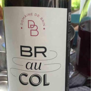 BR au COL - Domaine de Brin - Damien Bonnet 