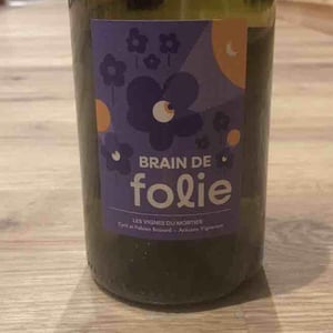 Brain de Folie Pineau d'Aunis - Domaine du Mortier - Fabien & Cyril Boisard -2023