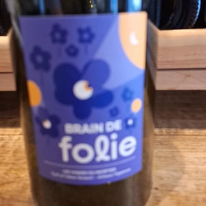 Brain de Folie Pineau d'Aunis - Domaine du Mortier - fabien-cyril-boisard -2023