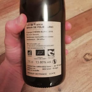 Domaine du Mortier - Fabien & Cyril Boisard - Brain de Folie Chenin