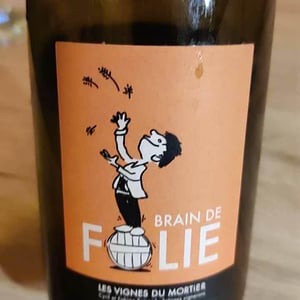 Domaine du Mortier - Fabien & Cyril Boisard - Brain de Folie Chenin