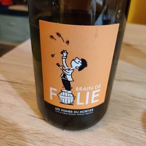 Brain de Folie Chenin - Domaine du Mortier - fabien-cyril-boisard