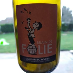 Brain de Folie Chenin - Domaine du Mortier - Fabien & Cyril Boisard 