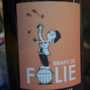 Brain de Folie Chenin - Domaine du Mortier - Fabien & Cyril Boisard 
