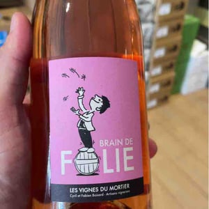 Brain de Folie Chenin - Domaine du Mortier - Fabien & Cyril Boisard 