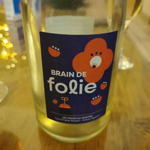 Brain de Folie Pineau d'Aunis - Domaine du Mortier - Fabien & Cyril Boisard -2023