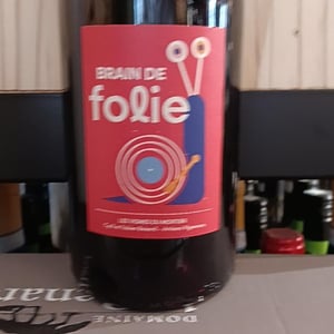Brain de Folie Grolleau Noir & Cabernet - Domaine du Mortier - fabien-cyril-boisard -2022