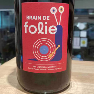 Brain de Folie Grolleau Noir & Cabernet - Domaine du Mortier - Fabien & Cyril Boisard -2022