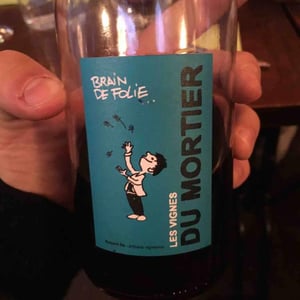 Brain de Folie Rosé - Domaine du Mortier - fabien-cyril-boisard